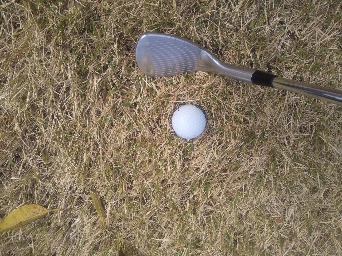 グリーンまわりからのアプローチが苦手な人に確認してほしい たった１つのポイント Golf Trigger ゴルフトリガー