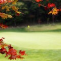 【関西エリア】ゴルフシーズン到来！紅葉を楽しめるゴルフ場おすすめ7選