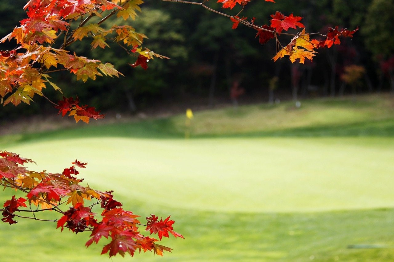 関東 関西 ゴルフシーズン到来 紅葉を楽しめるゴルフ場おすすめ7選 Golf Trigger ゴルフトリガー