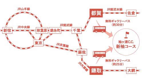 ニチレイレディス公式サイト